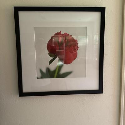 Framed Photo