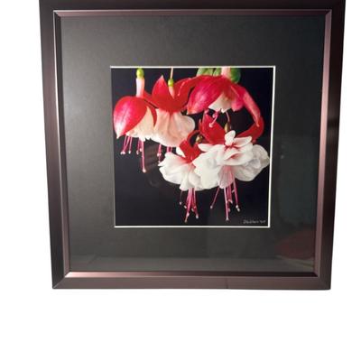 Framed photo