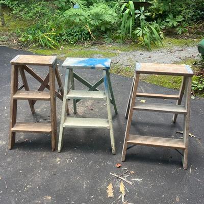 Werner Small Step Ladder & More (G-MG)