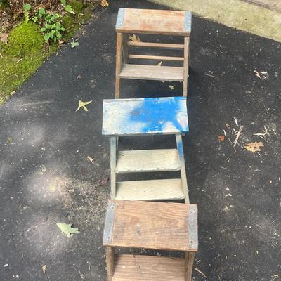 Werner Small Step Ladder & More (G-MG)