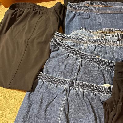 Ladies 1X pants
