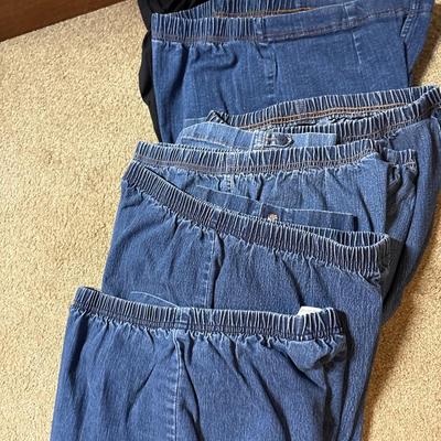 Ladies 1X pants