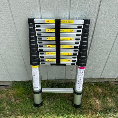 TELESCOPIC EXTENSION LADDER