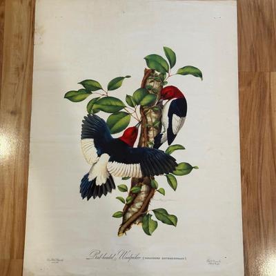 VINTAGE POSTERS