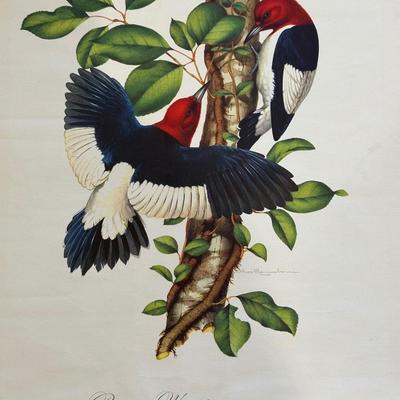 VINTAGE POSTERS