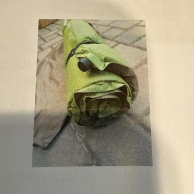 Sale Photo Thumbnail #34: Roll Out Mattress 
Green mattress with case
2 blow up points
26 inches wide