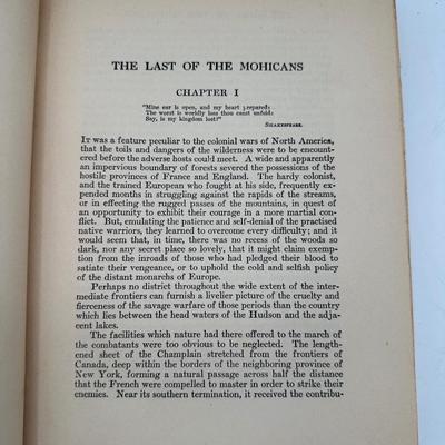 The Last of the Mohicans by James Fenimore Cooper