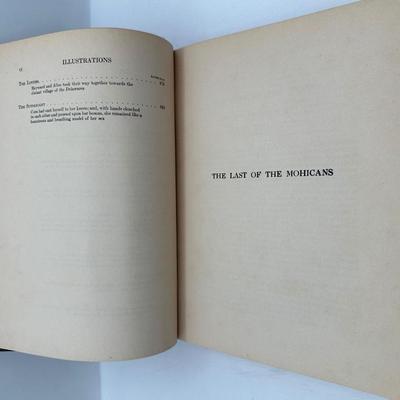 The Last of the Mohicans by James Fenimore Cooper