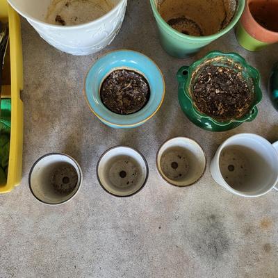 LOT 207G: Various Gardening Pots and Tools