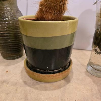 Live Plant Lot – Assorted Houseplant rooting's & Cactus in Decorative Vases