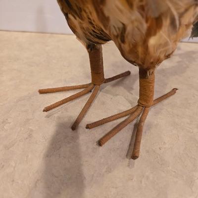 Faux Taxidermy Rooster & Framed Art Pair