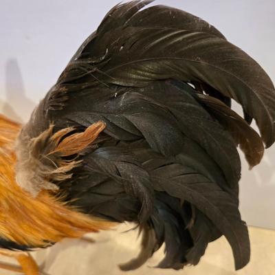 Faux Taxidermy Rooster & Framed Art Pair
