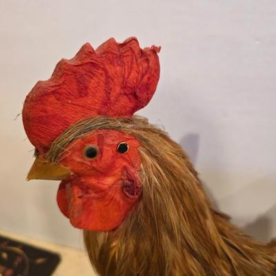 Faux Taxidermy Rooster & Framed Art Pair