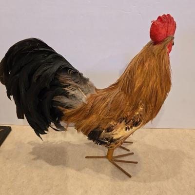 Faux Taxidermy Rooster & Framed Art Pair