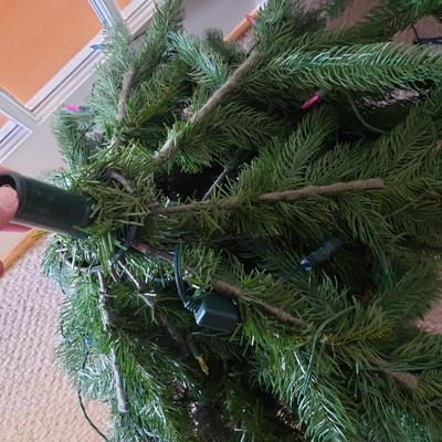 Christmas in July! (BR1-KD)