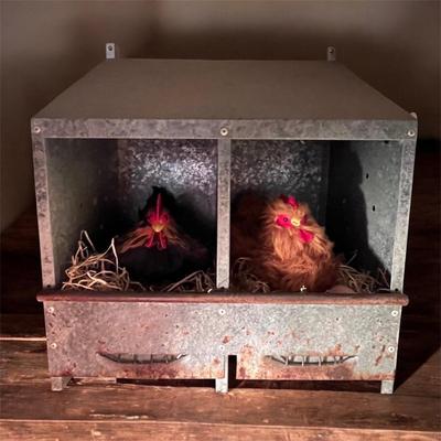 Metal Nesting Box Complete W/Chickens! (D-RG)