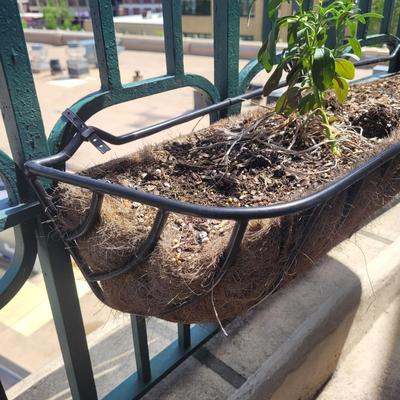 Wrought Iron Planters and Pots (LR-EL)