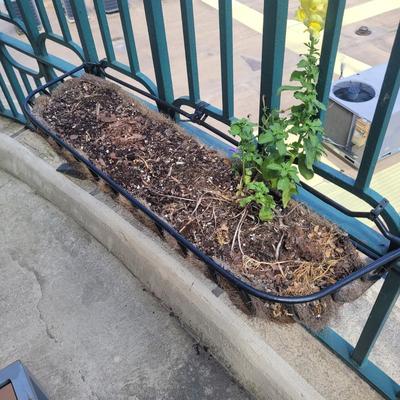 Wrought Iron Planters and Pots (LR-EL)