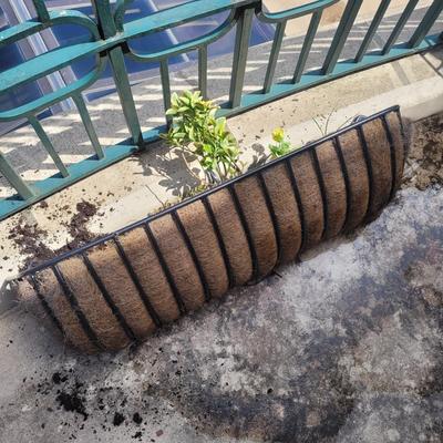 Wrought Iron Planters and Pots (LR-EL)