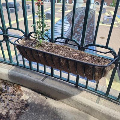 Wrought Iron Planters and Pots (LR-EL)