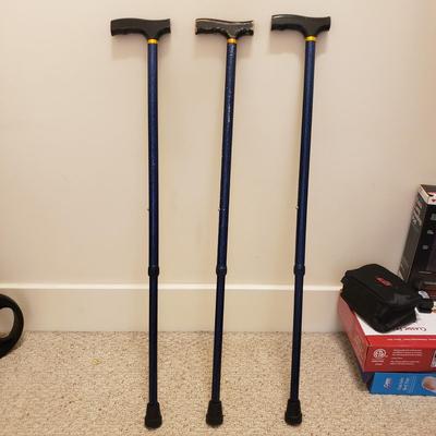 Large Ambulatory Lot-Drive, NIB and More! (C-1)