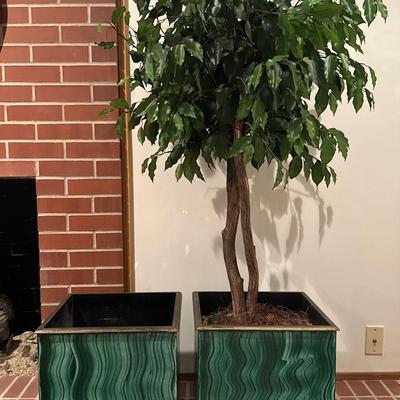 Pair of square planters with faux Ficus