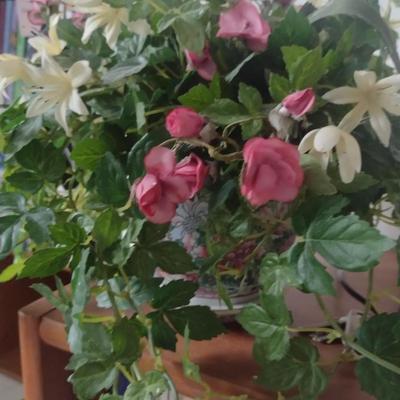 Collection of Artificial Greenery and Flower Arrangements