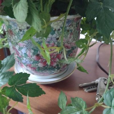 Collection of Artificial Greenery and Flower Arrangements