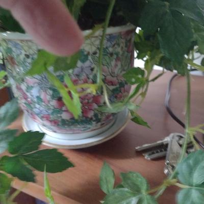 Collection of Artificial Greenery and Flower Arrangements