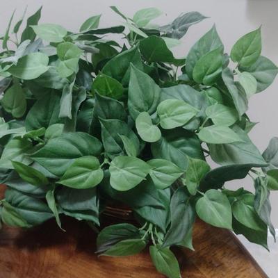 Collection of Artificial Greenery and Flower Arrangements