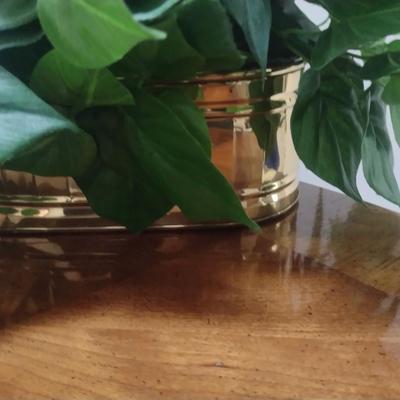 Collection of Artificial Greenery and Flower Arrangements