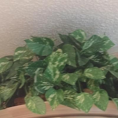 Collection of Artificial Greenery and Flower Arrangements