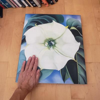 Art Collection Books (D-KD)