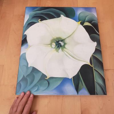 Art Collection Books (D-KD)