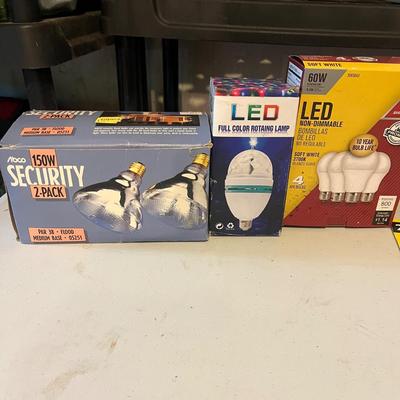 Array of Light Bulbs (G-MG)