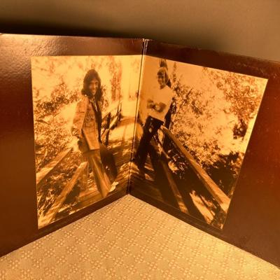 The Carpenters Vinyl Record - The Singles 1969-1973