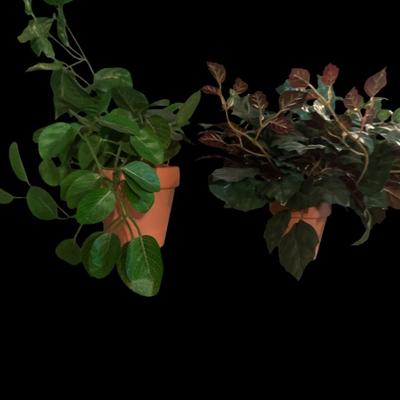 Faux plants and baskets