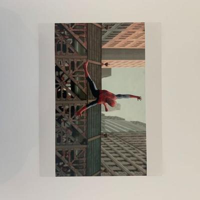 Spider-Man 8x10 photo unsigned