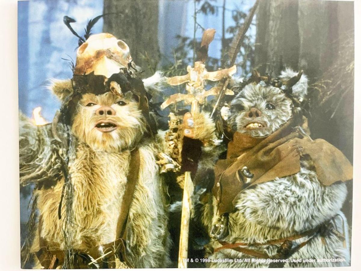 Star Wars Ewoks movie photo | EstateSales.org