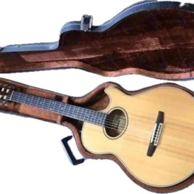 IBANEX AE-450 GUITAR & CASE ACOUTIC/ELECTIC