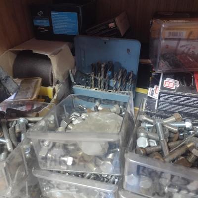 Large Collection of Hardware including Nails, Screws, Bolts, Nuts and Other