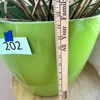 Lot 202 Large plant with pot