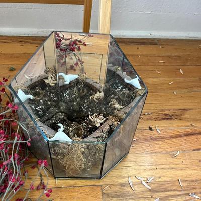 Lot 223 Plant & greenery