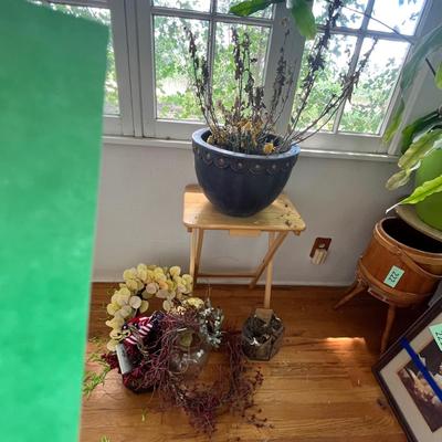 Lot 223 Plant & greenery