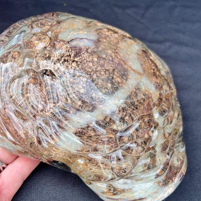 Sale Photo Thumbnail #265: Great color!  Great condition.