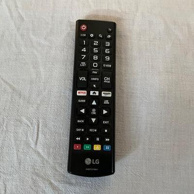 LG TV 48in