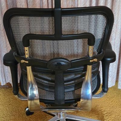 LOT 83D: Ergonomic Office Chair