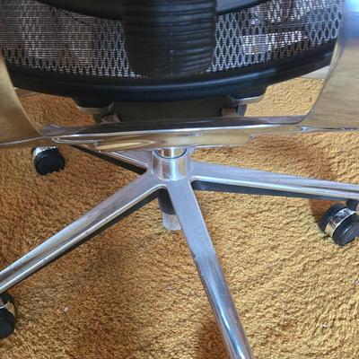 LOT 83D: Ergonomic Office Chair