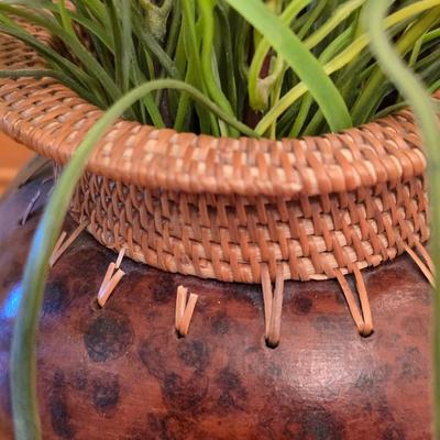 Matching Decorative Vase Set with Natural Fill