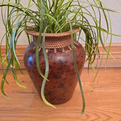 Matching Decorative Vase Set with Natural Fill